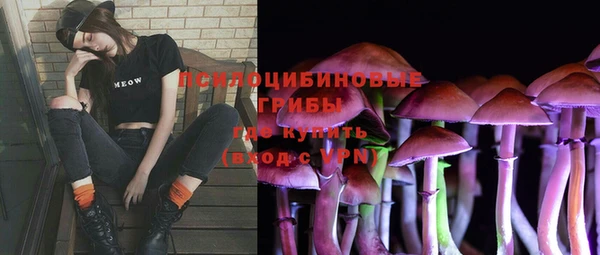 дурь Аркадак