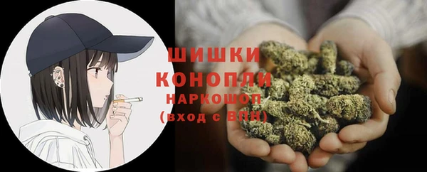 дживик Нягань